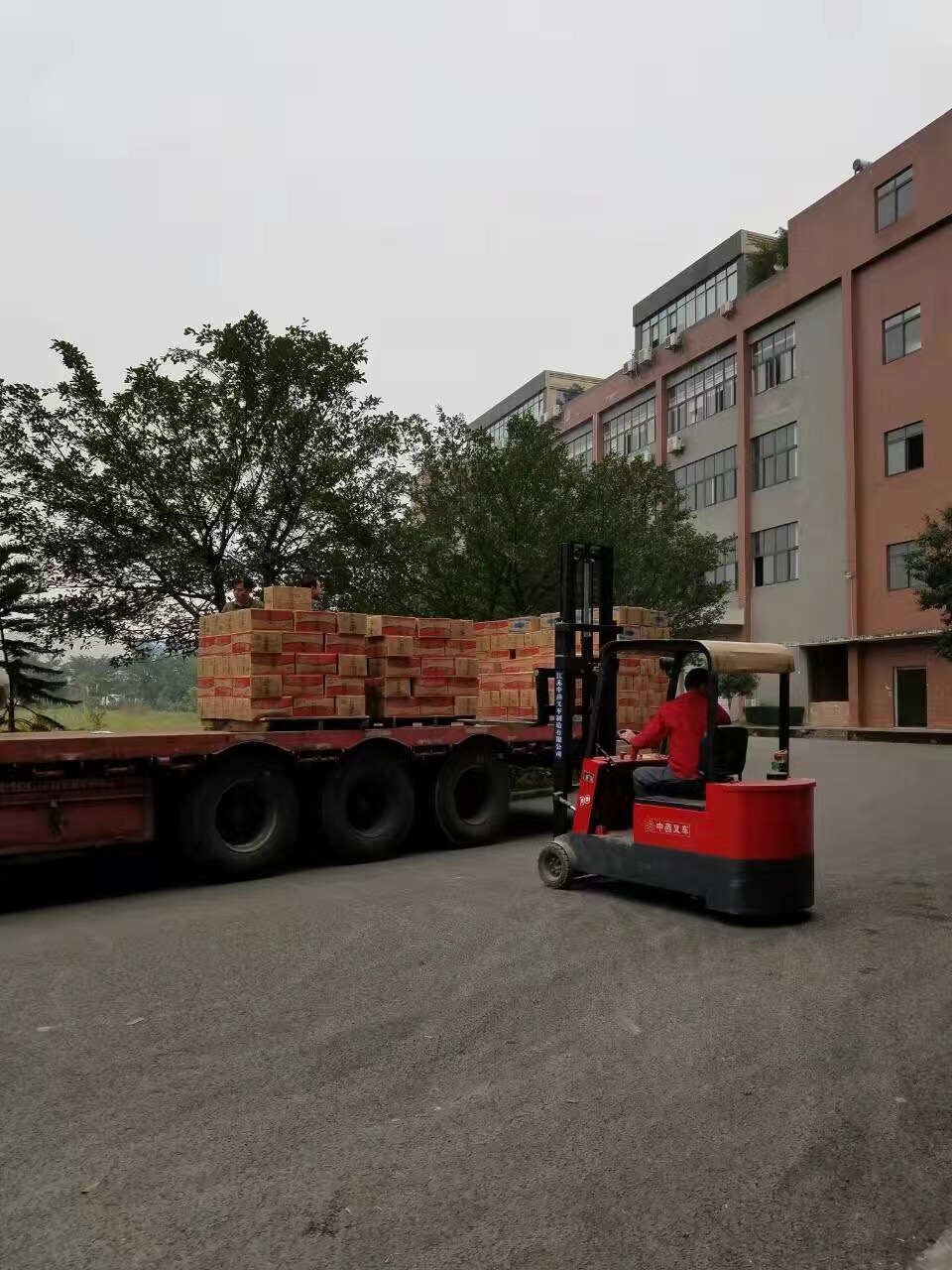 深圳星欧娱乐食品