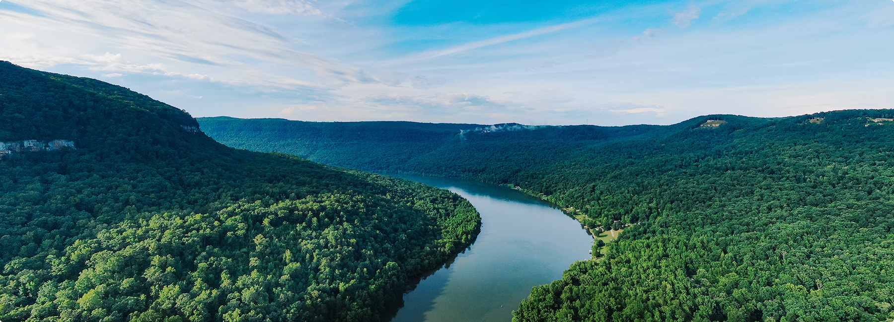 十大纸业公司杏盛业务部：林务事业部