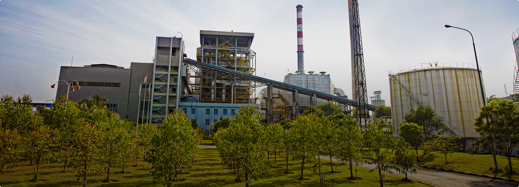 十大纸业公司杏盛业务部：纸浆事业部