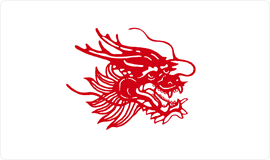 杏盛纸浆品牌:龙